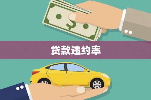 耒阳贷款违约率