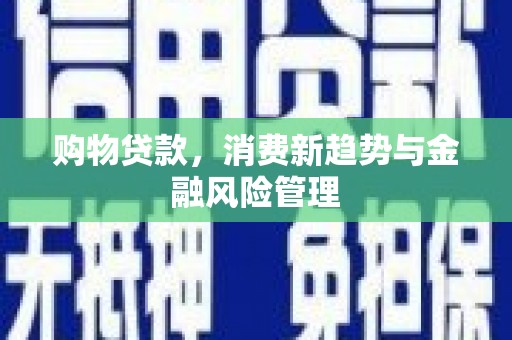 耒阳购物贷款，消费新趋势与金融风险管理