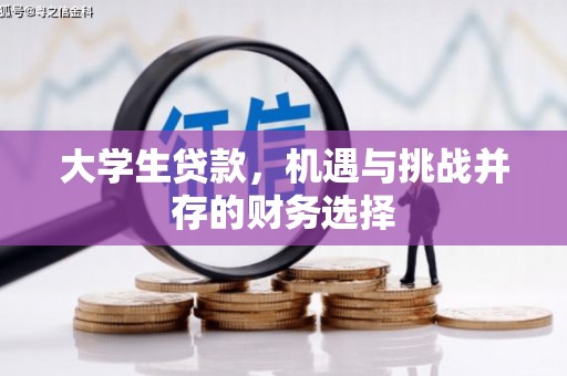 耒阳大学生贷款，机遇与挑战并存的财务选择