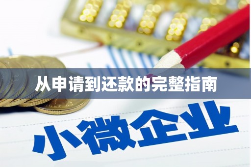 耒阳从申请到还款的完整指南