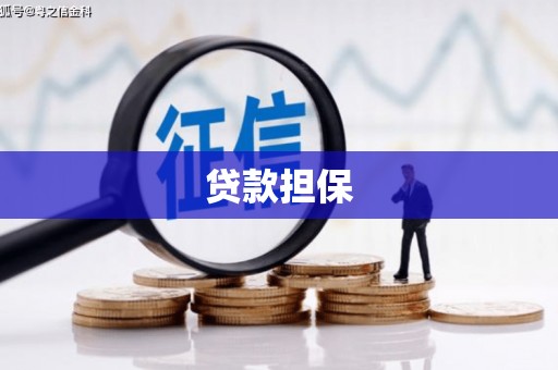 耒阳贷款担保