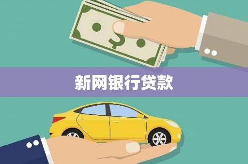 耒阳新网银行贷款