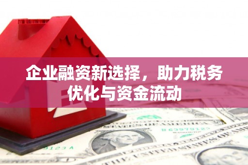 耒阳企业融资新选择，助力税务优化与资金流动