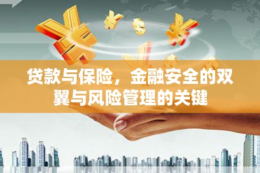 耒阳贷款与保险，金融安全的双翼与风险管理的关键