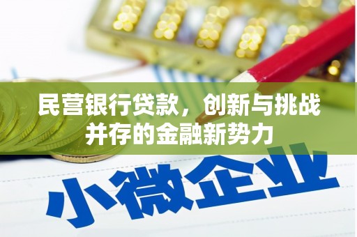 耒阳民营银行贷款，创新与挑战并存的金融新势力
