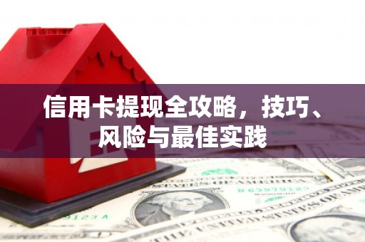 耒阳信用卡提现全攻略，技巧、风险与最佳实践