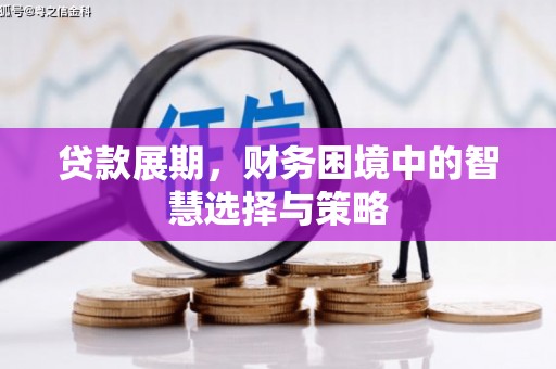 耒阳贷款展期，财务困境中的智慧选择与策略