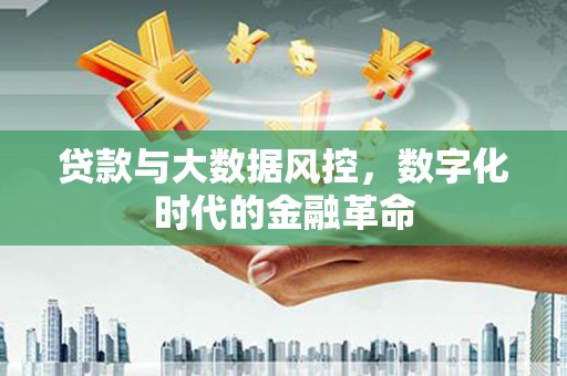 耒阳贷款与大数据风控，数字化时代的金融革命