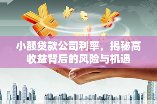 耒阳小额贷款公司利率，揭秘高收益背后的风险与机遇