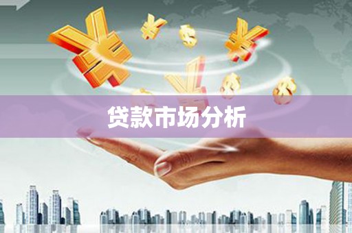 耒阳贷款市场分析