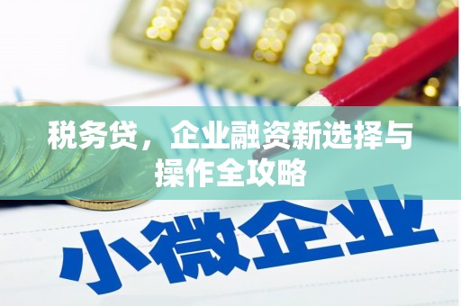 耒阳税务贷，企业融资新选择与操作全攻略