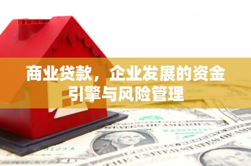 耒阳商业贷款，企业发展的资金引擎与风险管理