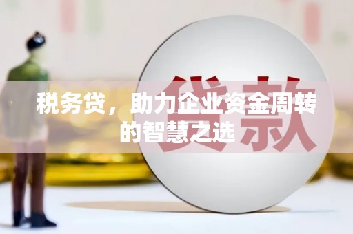 耒阳税务贷，助力企业资金周转的智慧之选