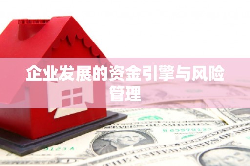耒阳企业发展的资金引擎与风险管理