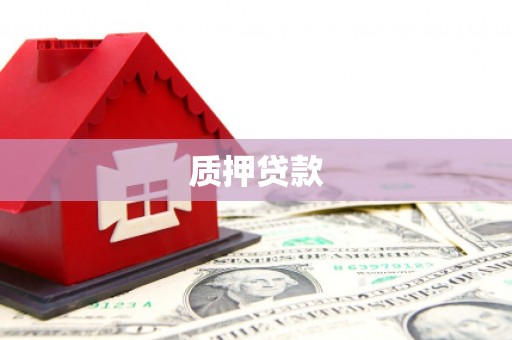 耒阳质押贷款