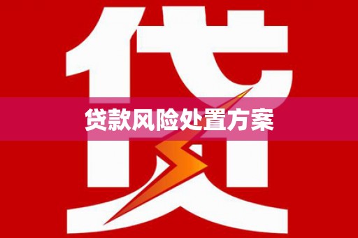 耒阳贷款风险处置方案