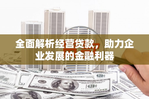 耒阳全面解析经营贷款，助力企业发展的金融利器