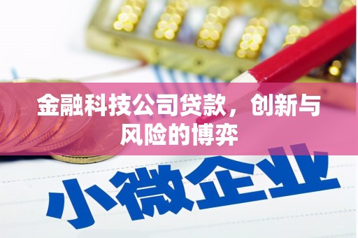 耒阳金融科技公司贷款，创新与风险的博弈