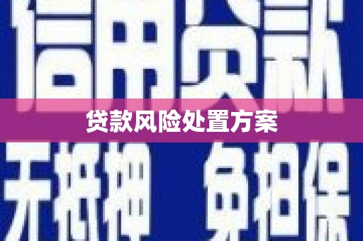 耒阳贷款风险处置方案