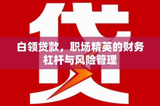 耒阳白领贷款，职场精英的财务杠杆与风险管理