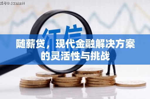 耒阳随薪贷，现代金融解决方案的灵活性与挑战