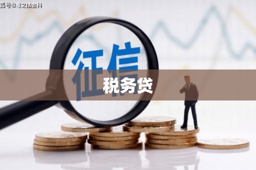 耒阳税务贷