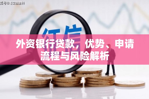 耒阳外资银行贷款，优势、申请流程与风险解析