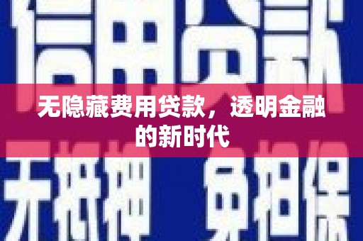 耒阳无隐藏费用贷款，透明金融的新时代