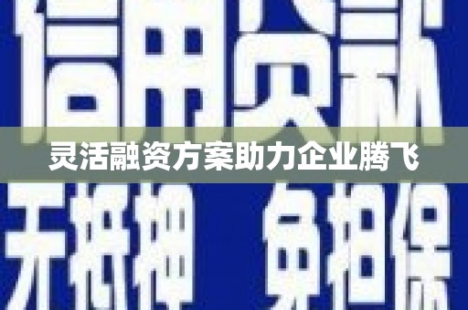 耒阳灵活融资方案助力企业腾飞