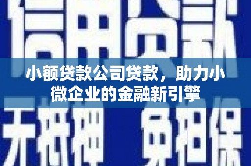 耒阳小额贷款公司贷款，助力小微企业的金融新引擎
