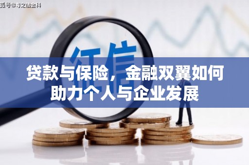 耒阳贷款与保险，金融双翼如何助力个人与企业发展