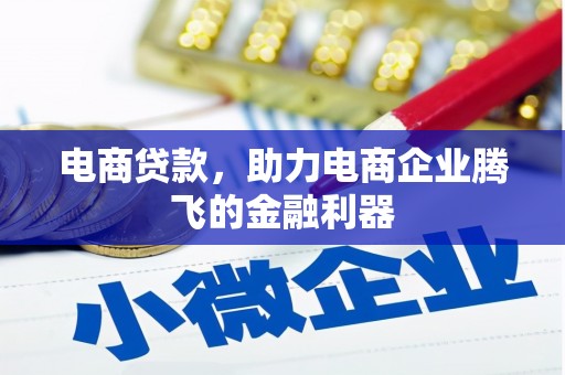 耒阳电商贷款，助力电商企业腾飞的金融利器