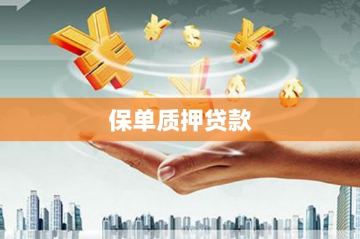 耒阳保单质押贷款