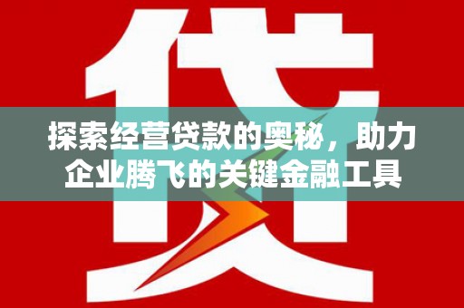 耒阳探索经营贷款的奥秘，助力企业腾飞的关键金融工具
