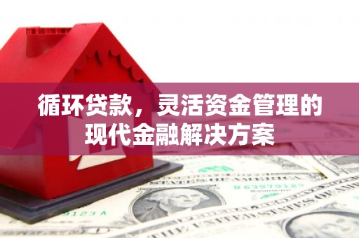 耒阳循环贷款，灵活资金管理的现代金融解决方案