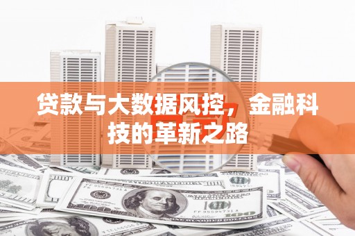耒阳贷款与大数据风控，金融科技的革新之路