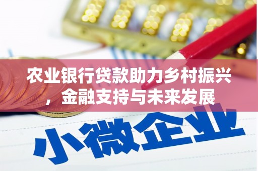 耒阳农业银行贷款助力乡村振兴，金融支持与未来发展