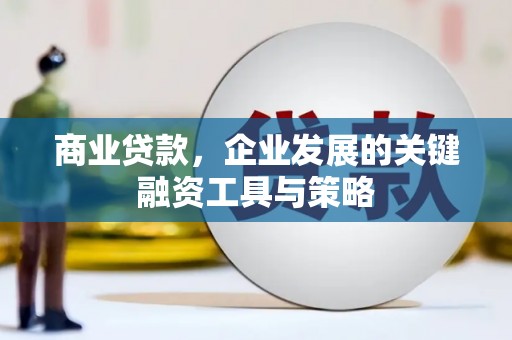 耒阳商业贷款，企业发展的关键融资工具与策略