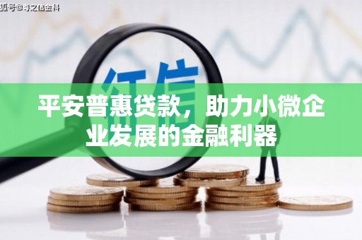 耒阳平安普惠贷款，助力小微企业发展的金融利器
