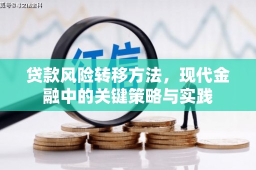 耒阳贷款风险转移方法，现代金融中的关键策略与实践