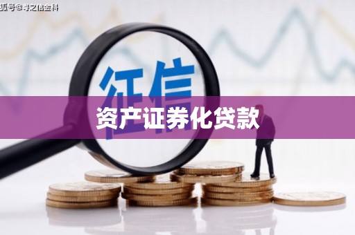耒阳资产证券化贷款