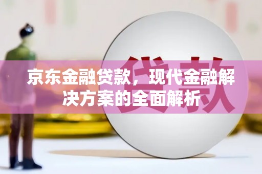 耒阳京东金融贷款，现代金融解决方案的全面解析