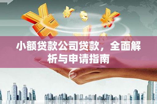 耒阳小额贷款公司贷款，全面解析与申请指南