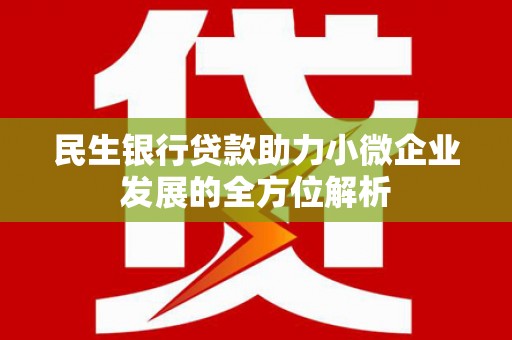耒阳民生银行贷款助力小微企业发展的全方位解析