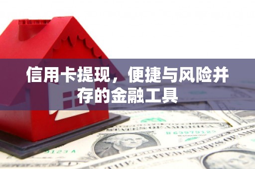 耒阳信用卡提现，便捷与风险并存的金融工具