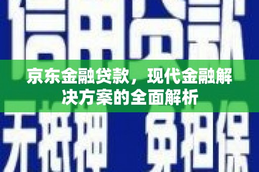 耒阳京东金融贷款，现代金融解决方案的全面解析