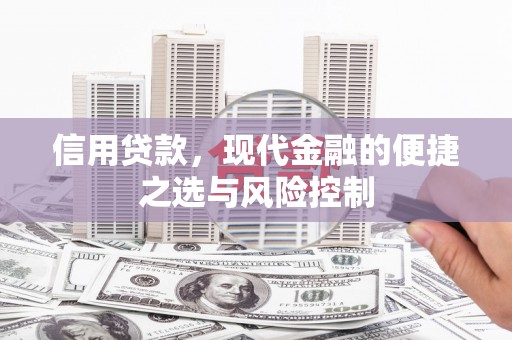 耒阳信用贷款，现代金融的便捷之选与风险控制