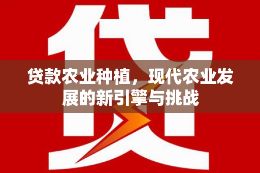 耒阳贷款农业种植，现代农业发展的新引擎与挑战