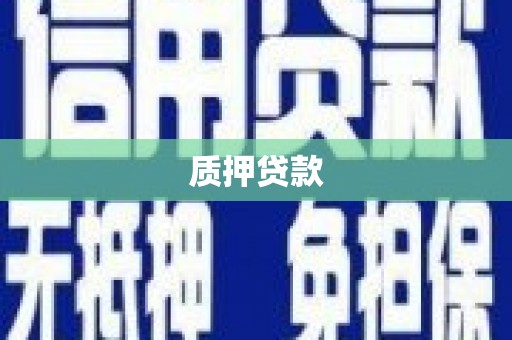 耒阳质押贷款
