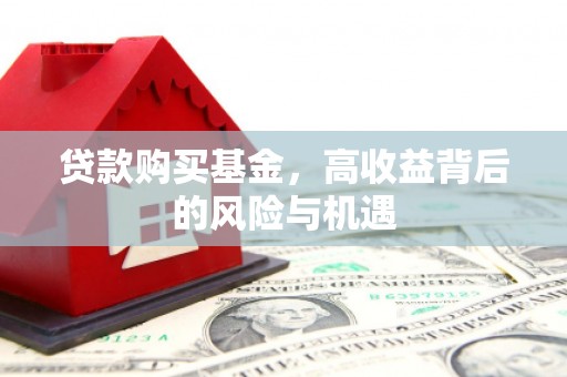 耒阳贷款购买基金，高收益背后的风险与机遇
